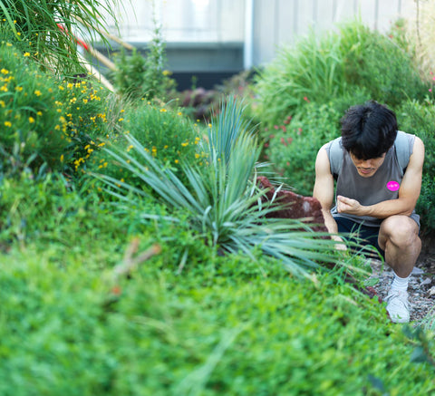 Mach Deinen Garten im Frühling zum Strahlen