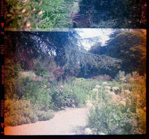 Licht und Schatten Beleuchtungstipps für den Garten