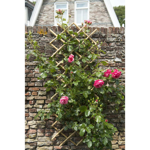 Nature Garten Gitter 70x180 cm Bambus 6040721