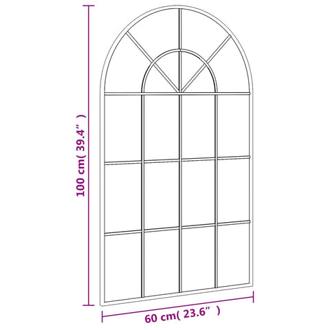 vidaXL Wandspiegel Schwarz 60x100 cm Gewölbt Eisen