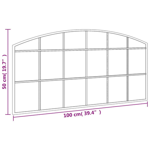 vidaXL Wandspiegel Schwarz 100x50 cm Gewölbt Eisen