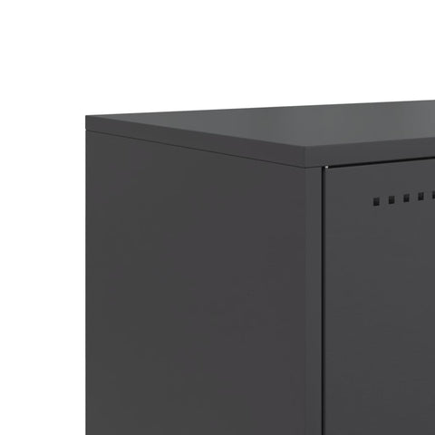 vidaXL Highboard Schwarz 36x39x123 cm Stahl