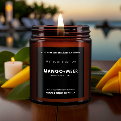 Mango & Meer Kerze - Best Scents Edition-1