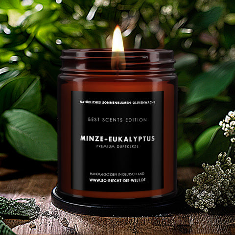 Minze & Eukalyptus Kerze - Best Scents Edition-1