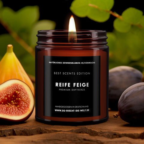 Reife Feige Kerze - Best Scents Edition-1